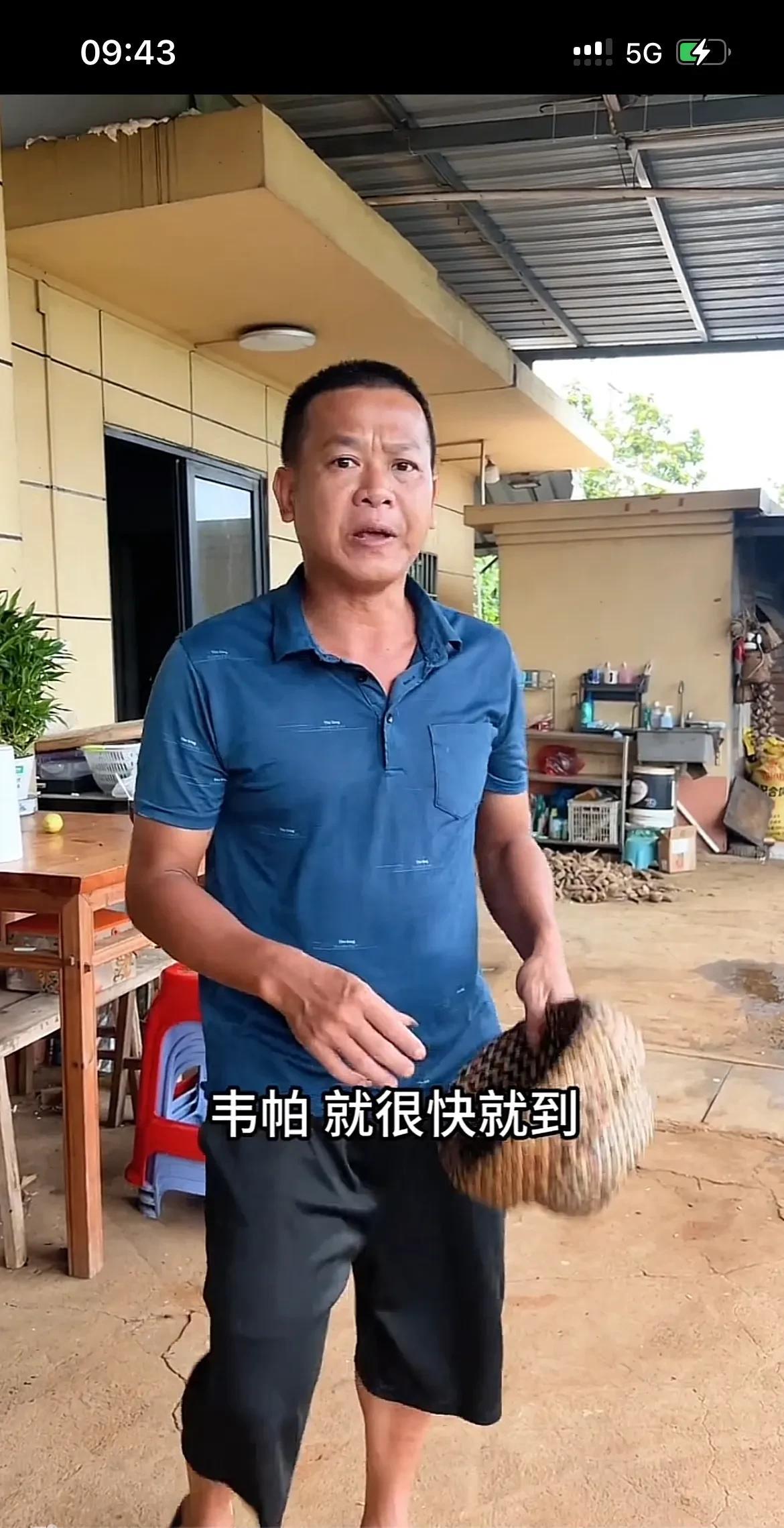 真佩服！在台风之前，应急砍树！全能的全爸，爱家，爱妻，爱儿女！勤劳致富，育孩有方