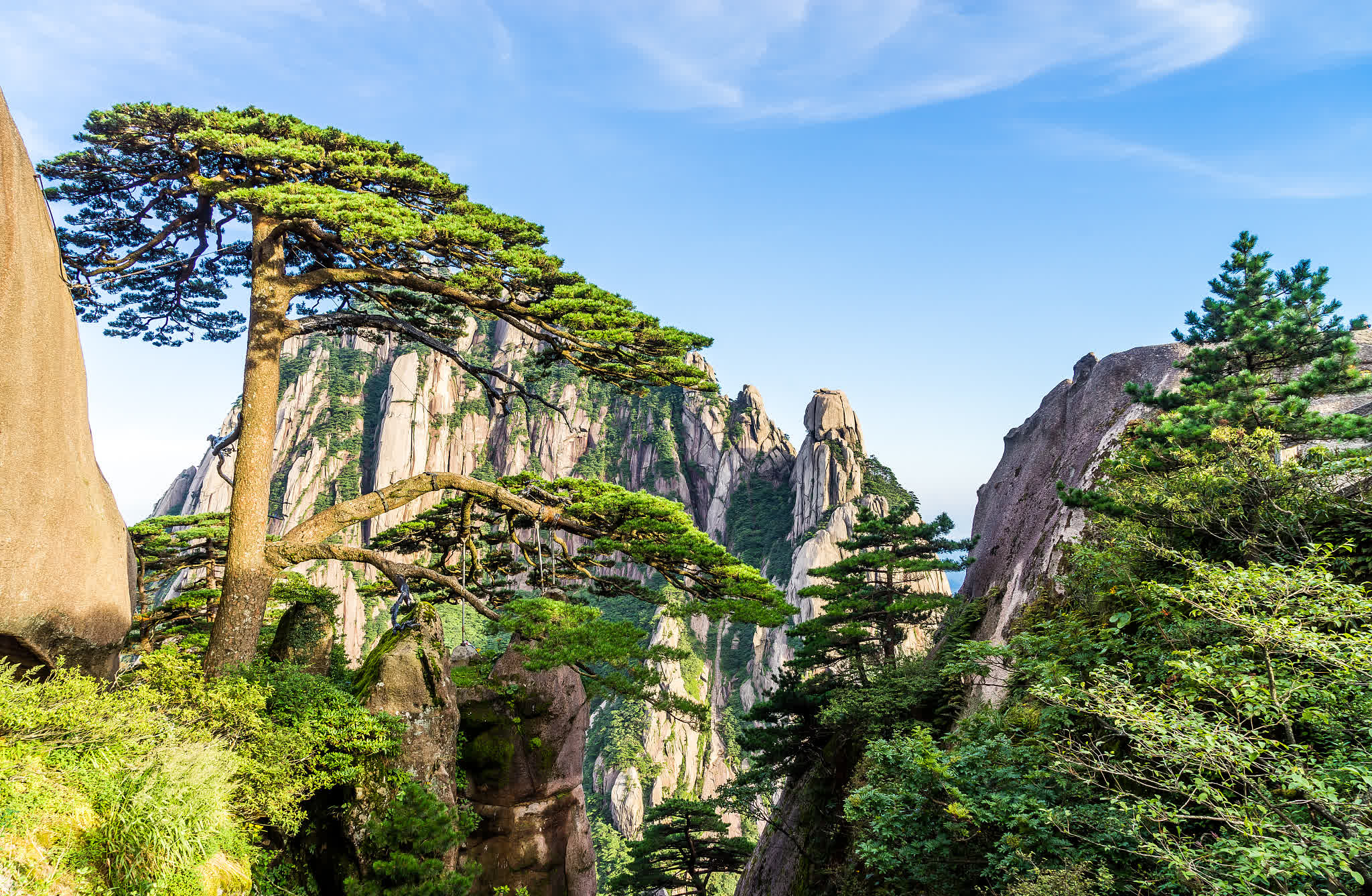 黄山的五月，因音乐节而格外鲜活！

当刘宪华站上舞台，整个世界仿佛都安静又沸