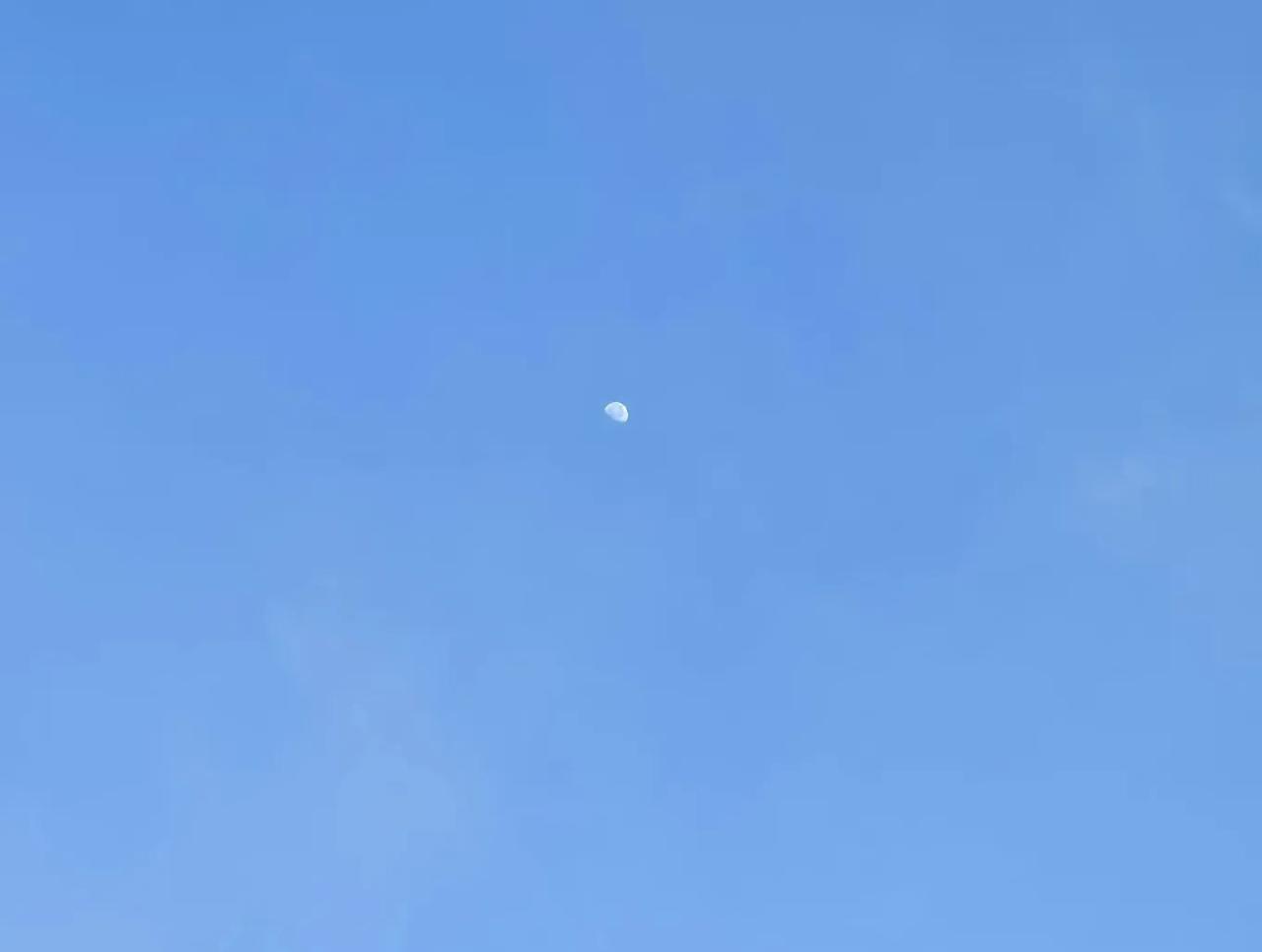 印度还好意思问为啥我们员工从印度撤走，你那里能生存么？一个烧饼就能把人吃到医院拉