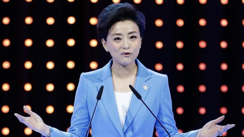 杨澜晒出护照的那条微博，如今翻出来看，已经是两年多之前的事情了