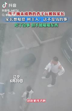 三观太正了！辽宁，一女孩摘未成熟的杏子玩，被主人给发现后，就让她把家长叫过来，其