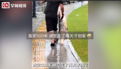 “这就是命啊！”6月21日，河南信阳，一男子冒雨在河边钓鱼，竟钓上来了一条足有七