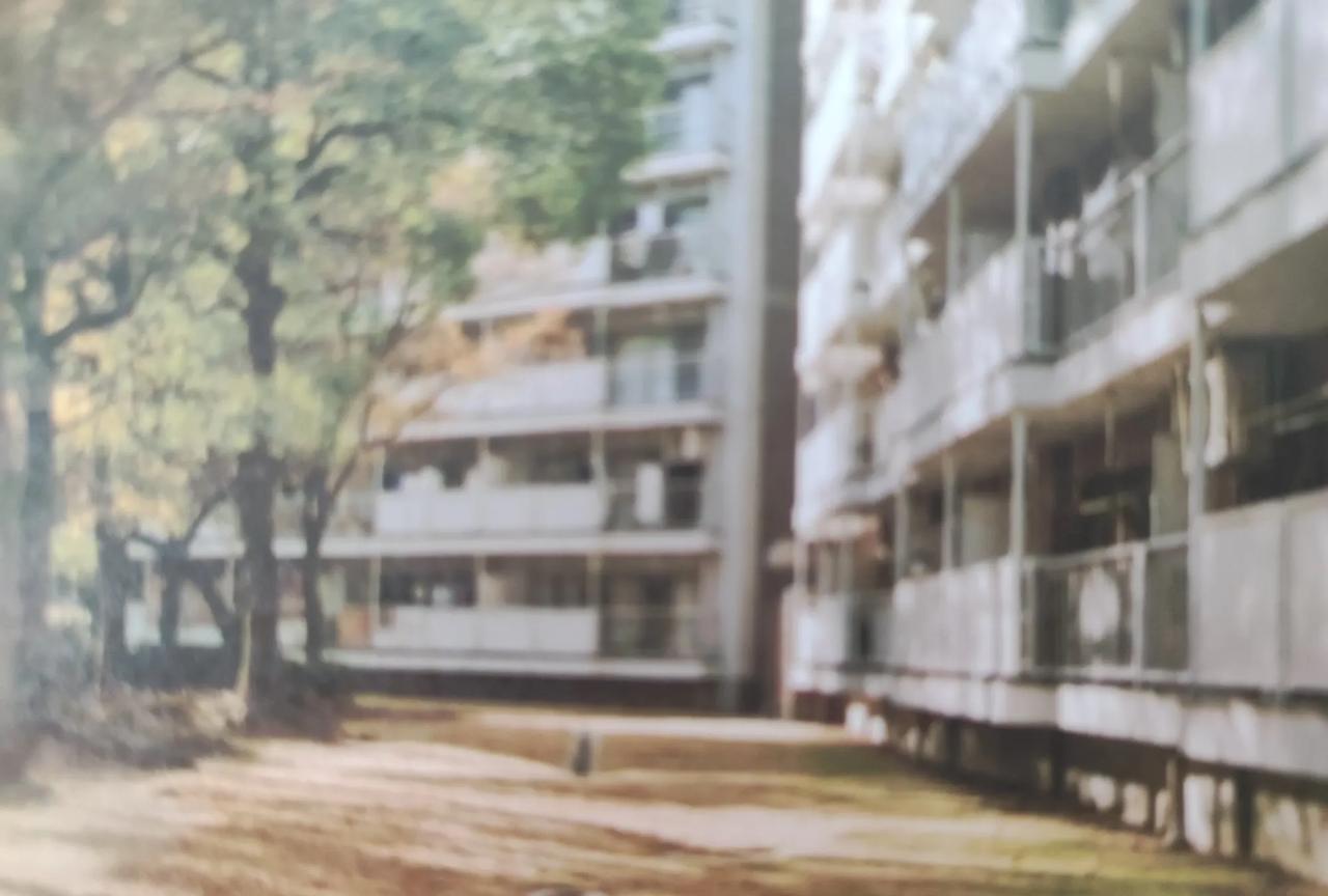 #万能生活指南#
玻璃晴朗
橘子辉煌