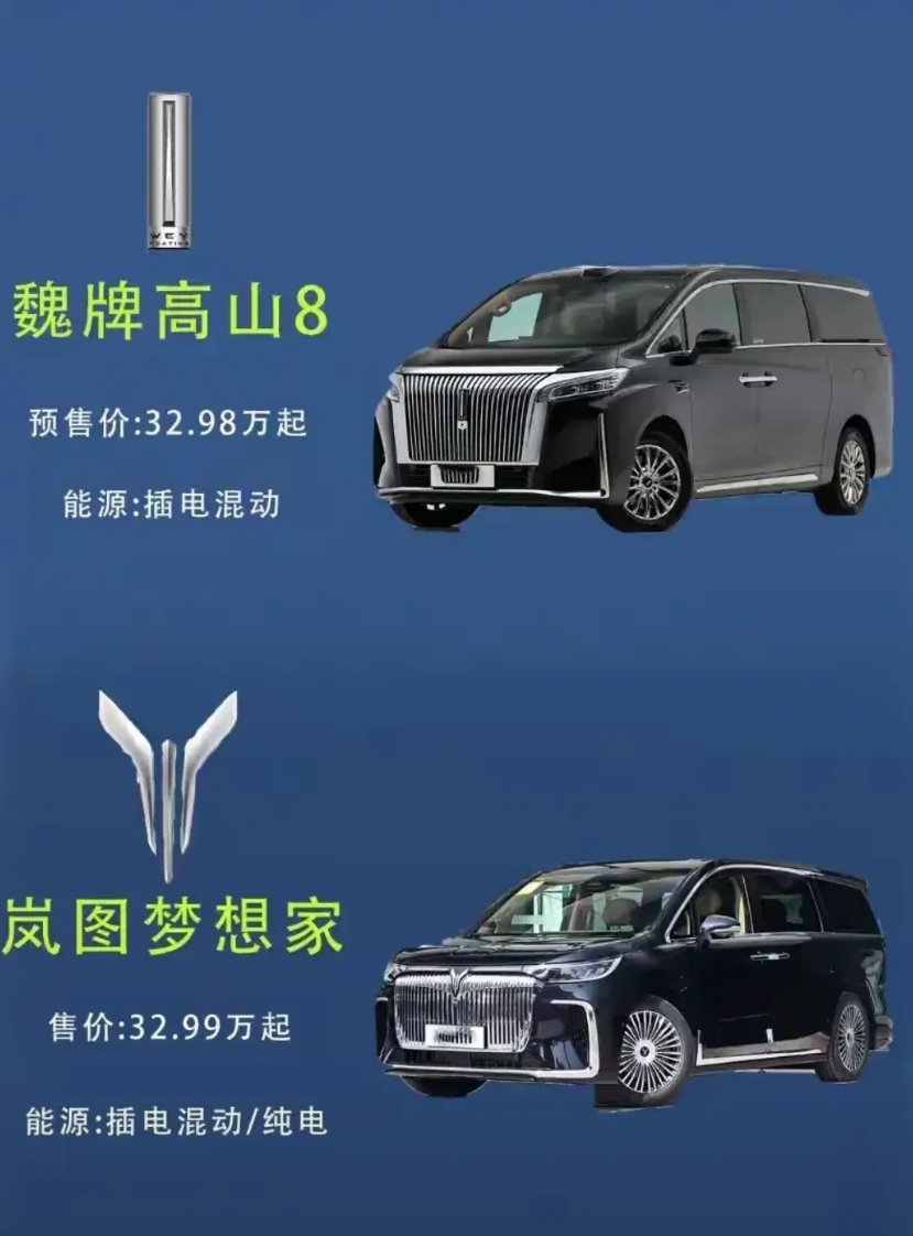 山高水长，梦想启航，这里说的是魏牌高山与岚图梦想家。将这两款车放在一起比较的话，