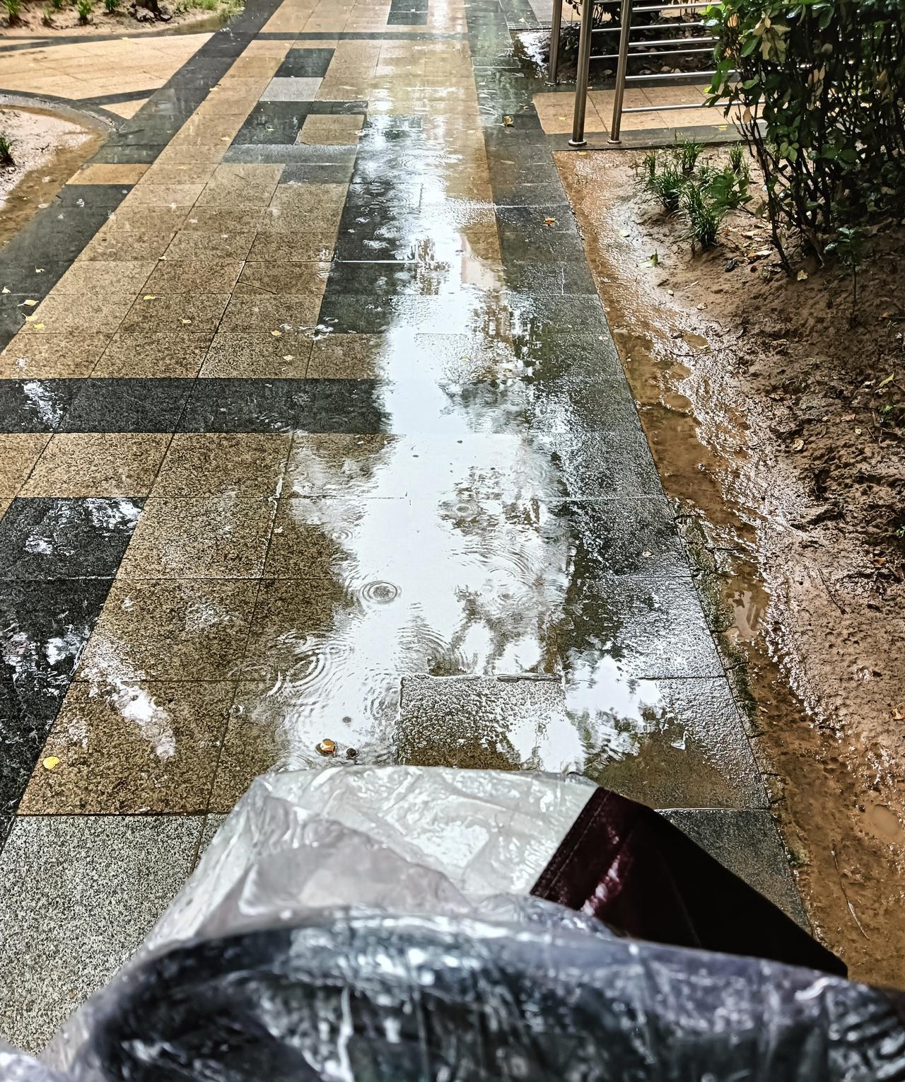 中午跑的非常非常悲催，一场大雨把我从头到脚都淋湿完了[流泪]陆陆续续接了四单，四