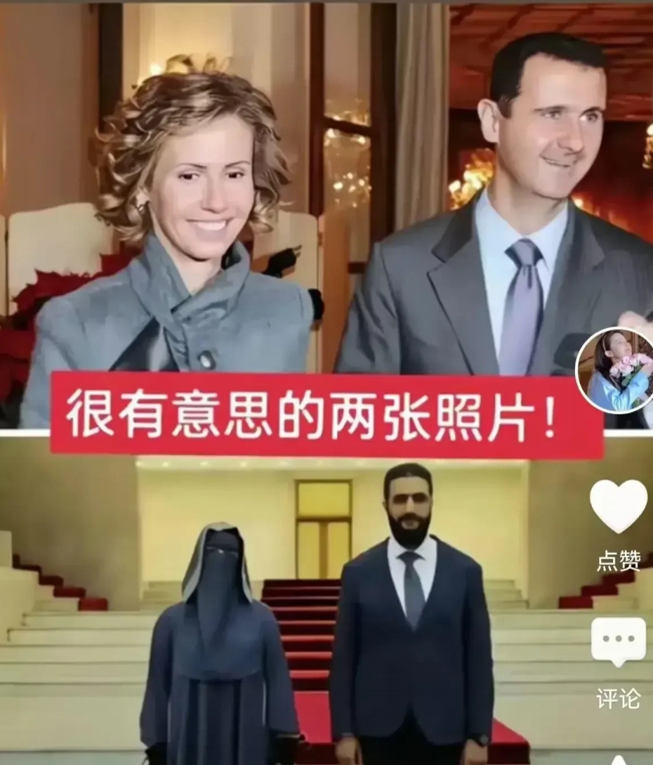 叙利亚被灭门的女公知哈娜迪，搞了十几年的“解放”运动，结果搞死了几千不肯下跪学狗