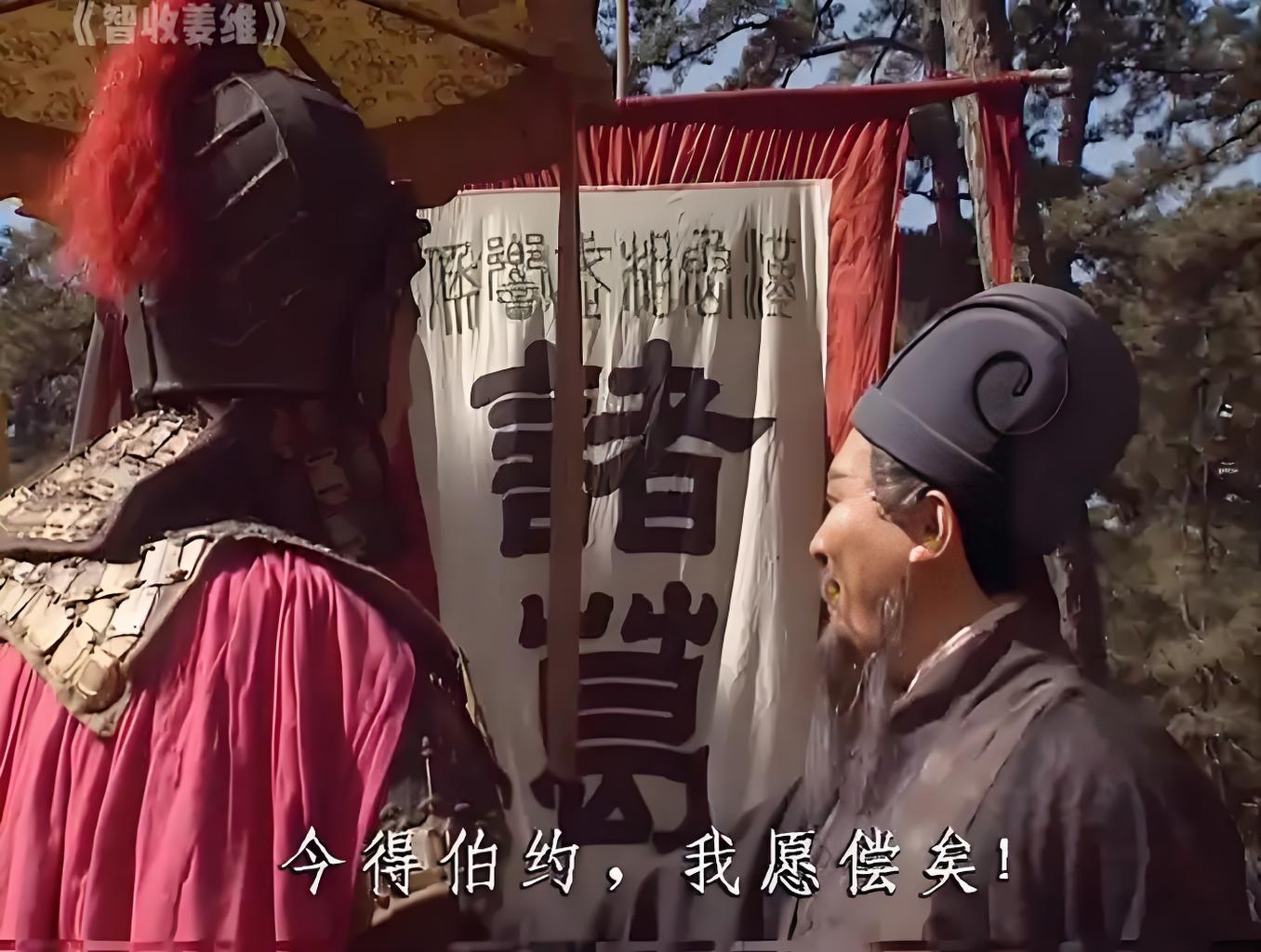 诸葛亮为什么那么看重姜维？