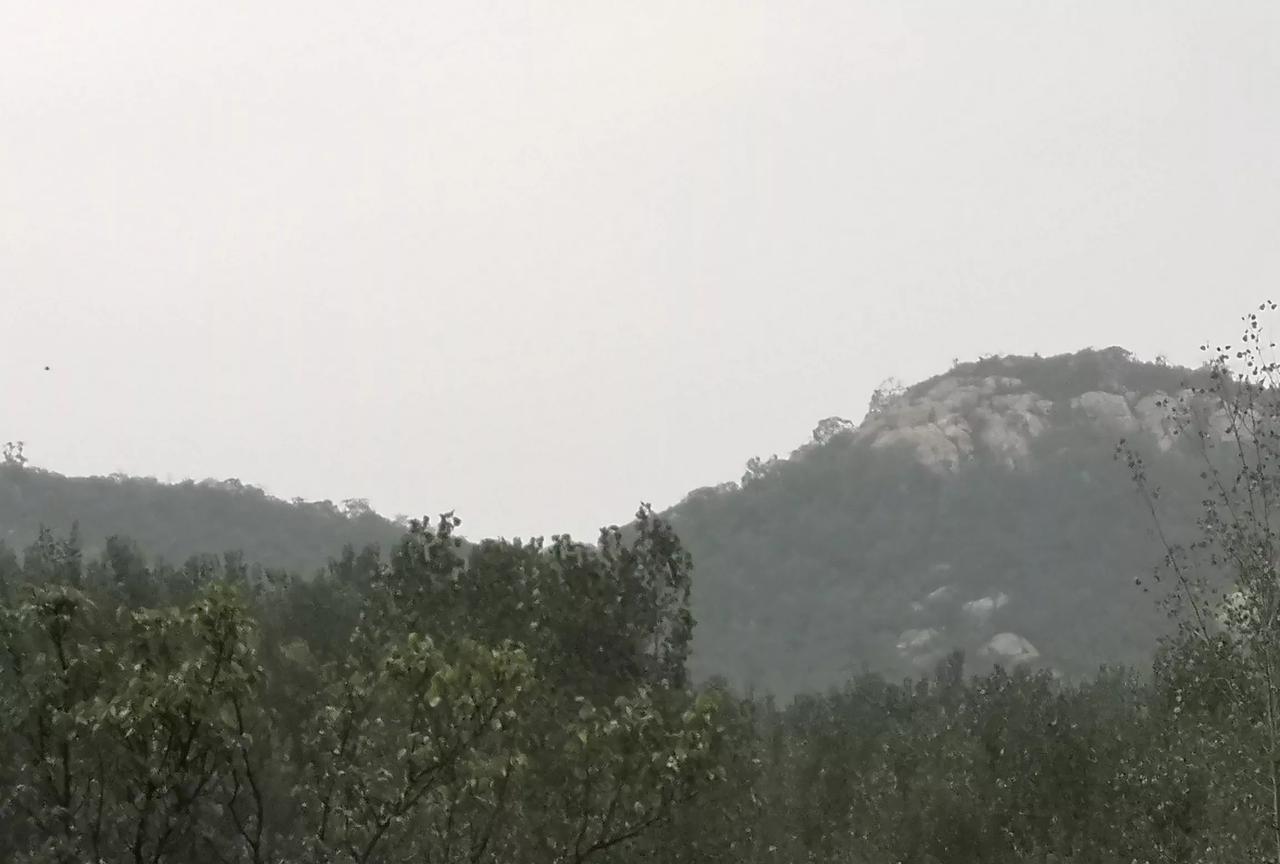 朋友在职业学院当老师。
他说，他是职业班的班主任。所谓职业班就是为专属企业培育的