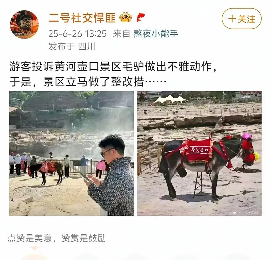 投诉的那个旅客是嫉妒驴的比他大吗？