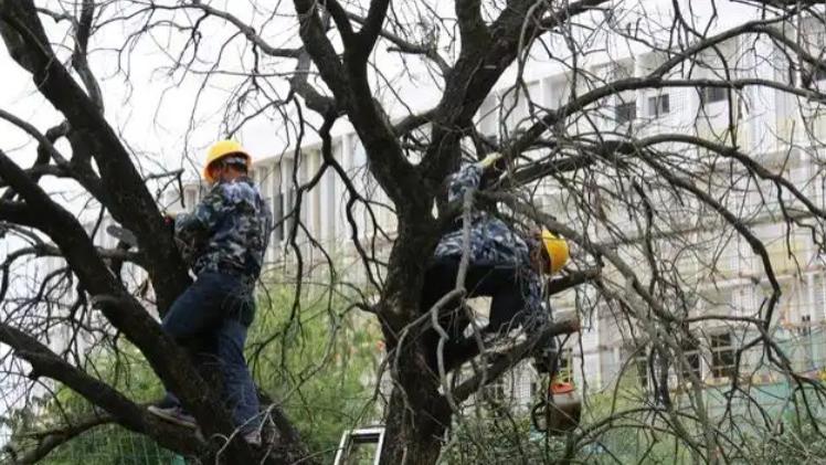 科技赋能基层治理，“的修”发起公益计划助力公共服务数字化升级
