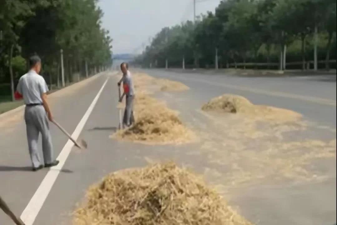 中午准备去镇上办理移动业务，刚到村口遇到一堆人围在一起。连忙骑车过去一看，地上躺