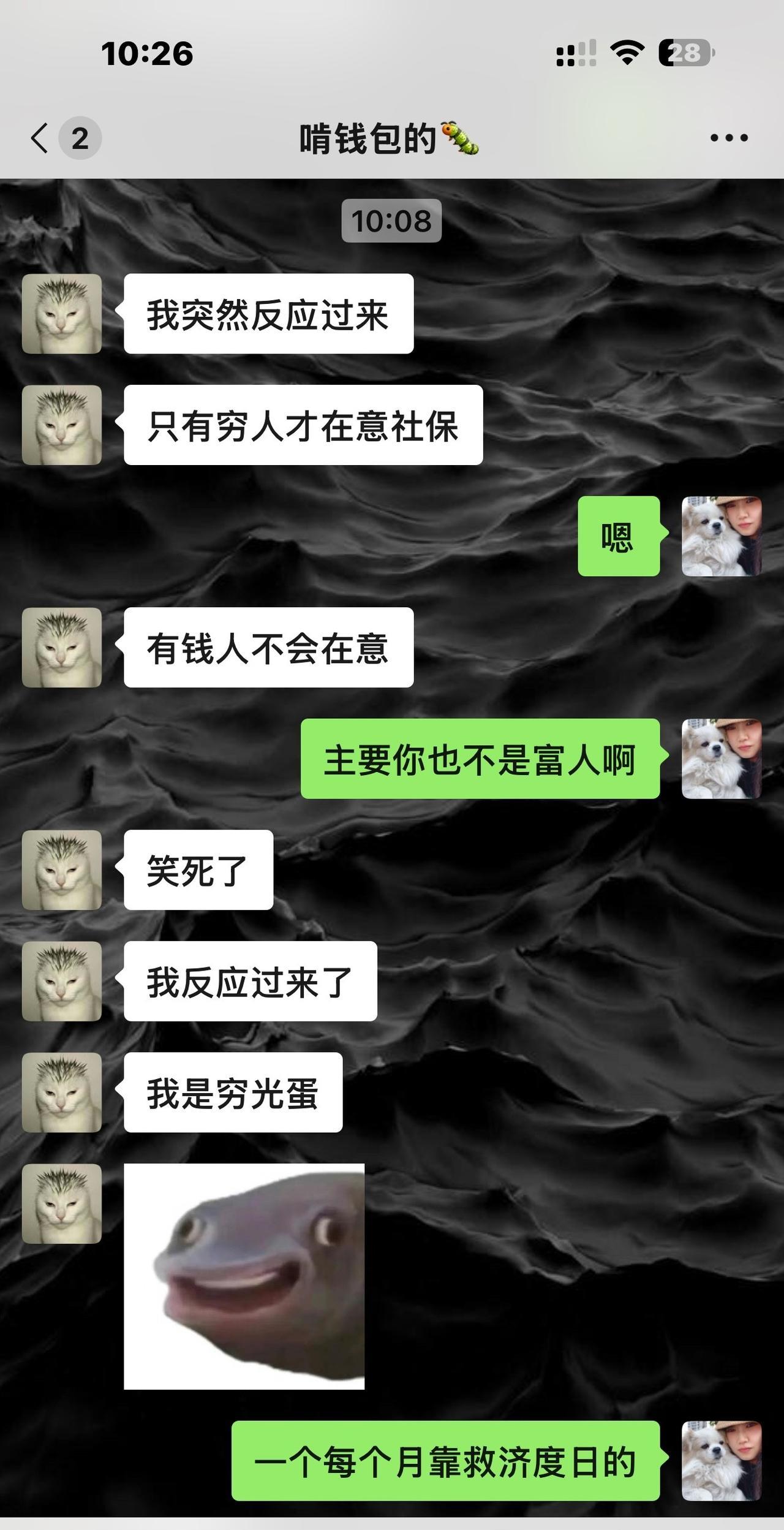 我养了一只好闺女，孝顺孩子。
给她妈安排的明明白白滴。
[吐血][吐血][吐血]