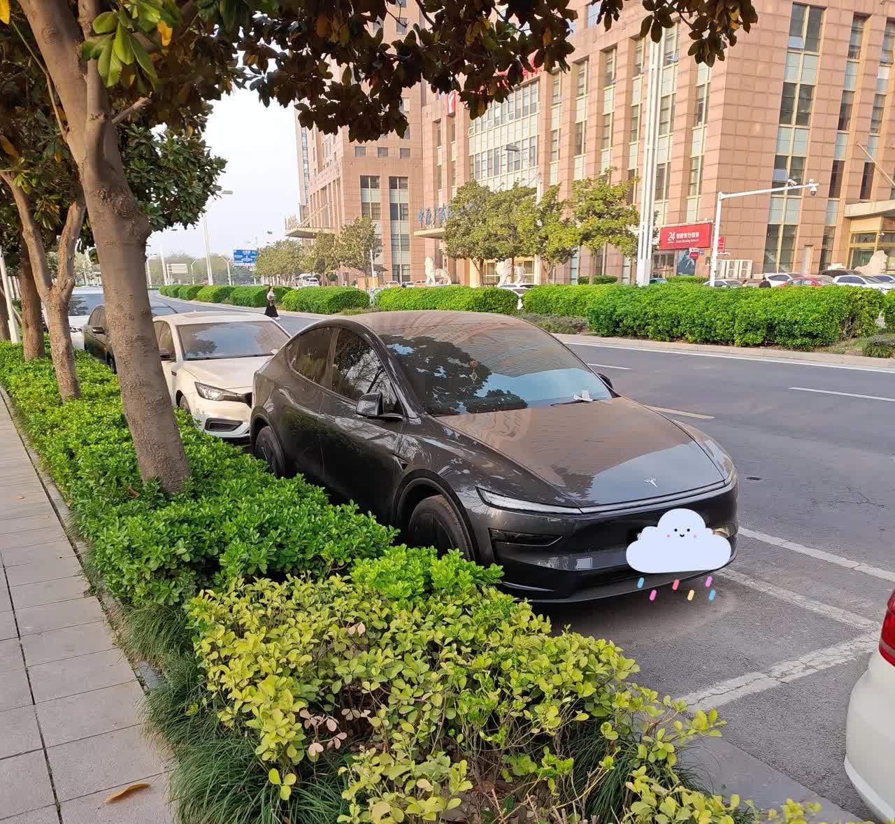 这个model y是不是长了有点不太一样啊