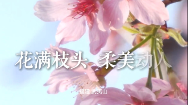 武夷山的春天，美到让人忘记呼吸！