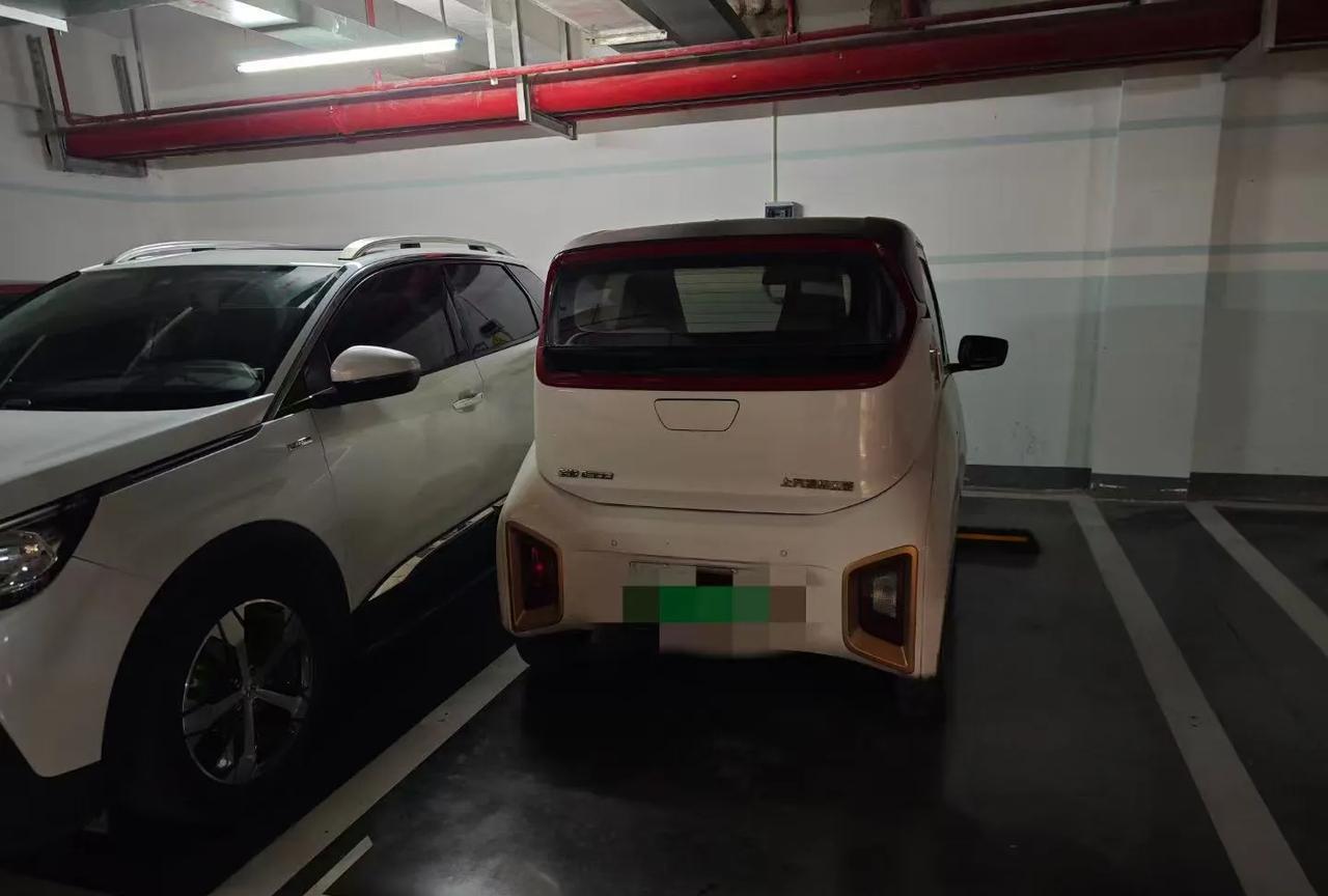 这估计得有多大的怨仇才会这样停车。那么小的电车，根本不存在说技术问题。让人第一眼