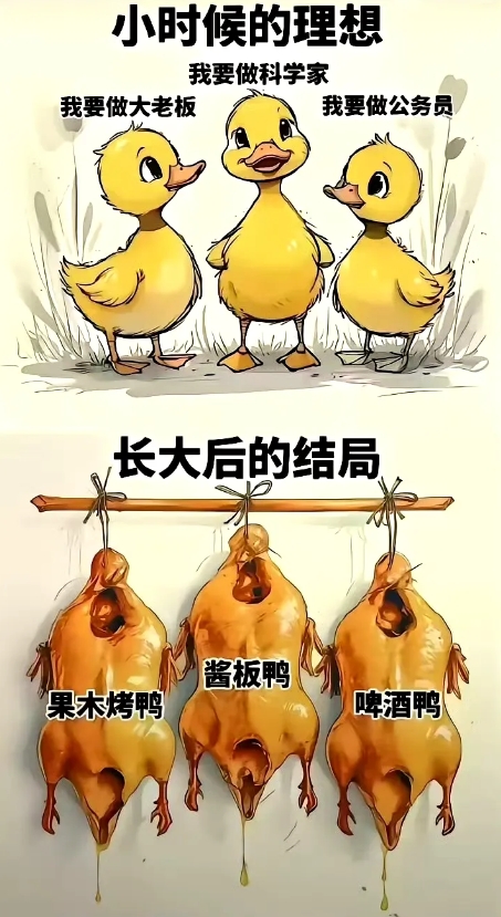 这个世界除了牛马，就是鸡鸭 ​