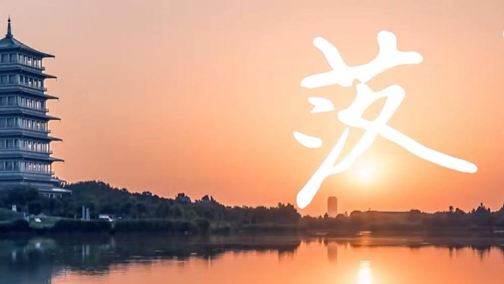 文旅传播新玩法：把汉字种进山林，这波操作太绝了！