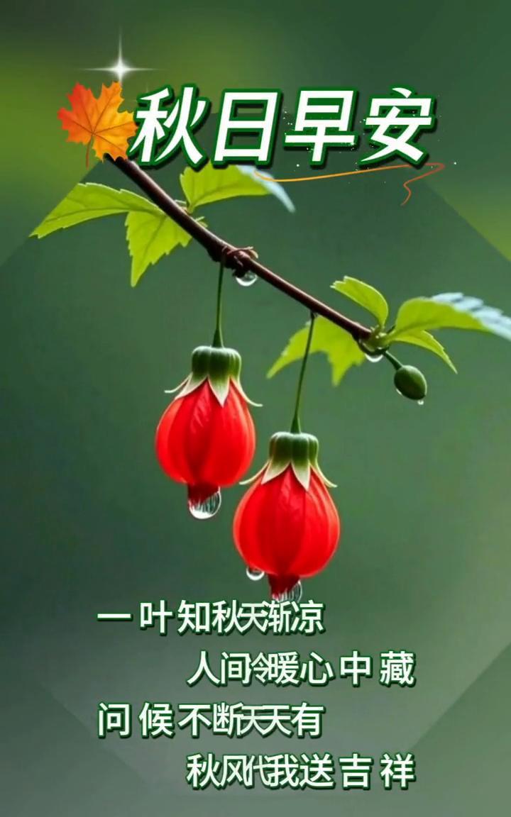 秋日早安。
一叶知秋天渐凉，人间冷暖心中藏。问候不断天天有，秋风代我送吉祥。吉祥