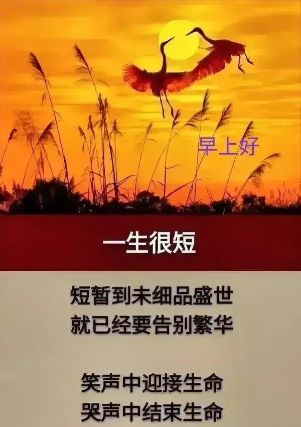 人，究竟活多久才算是完美的一生？  这个问题，萦绕在每个人的心头，挥之不去。
