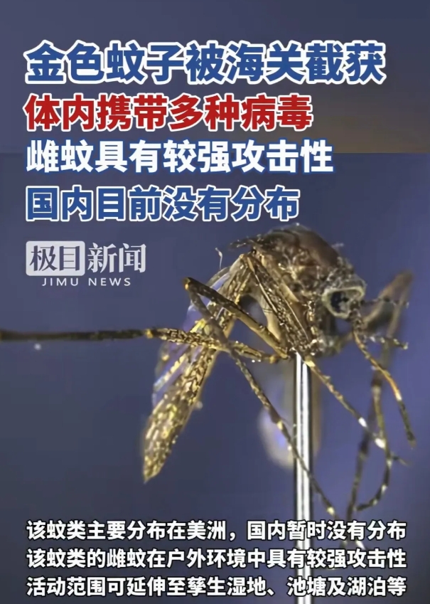 这次金色蚊子被截获，有时候想想真是可怕！

正常人谁会把这种携带多种病毒并且攻击