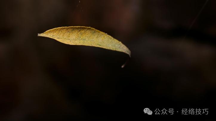 睡前很养人的一个习惯，助你安睡到天亮！坚持做，把浮火变正气，特别适合这种体质的人