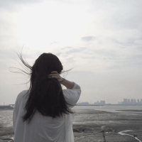 无需借谁的光