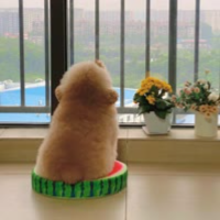 大耳朵涂涂本涂