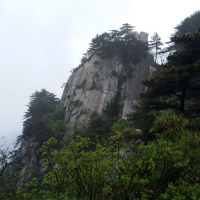 诗情朗逸的鱼儿