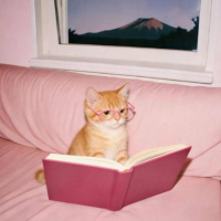 大吃一口脆蛋挞