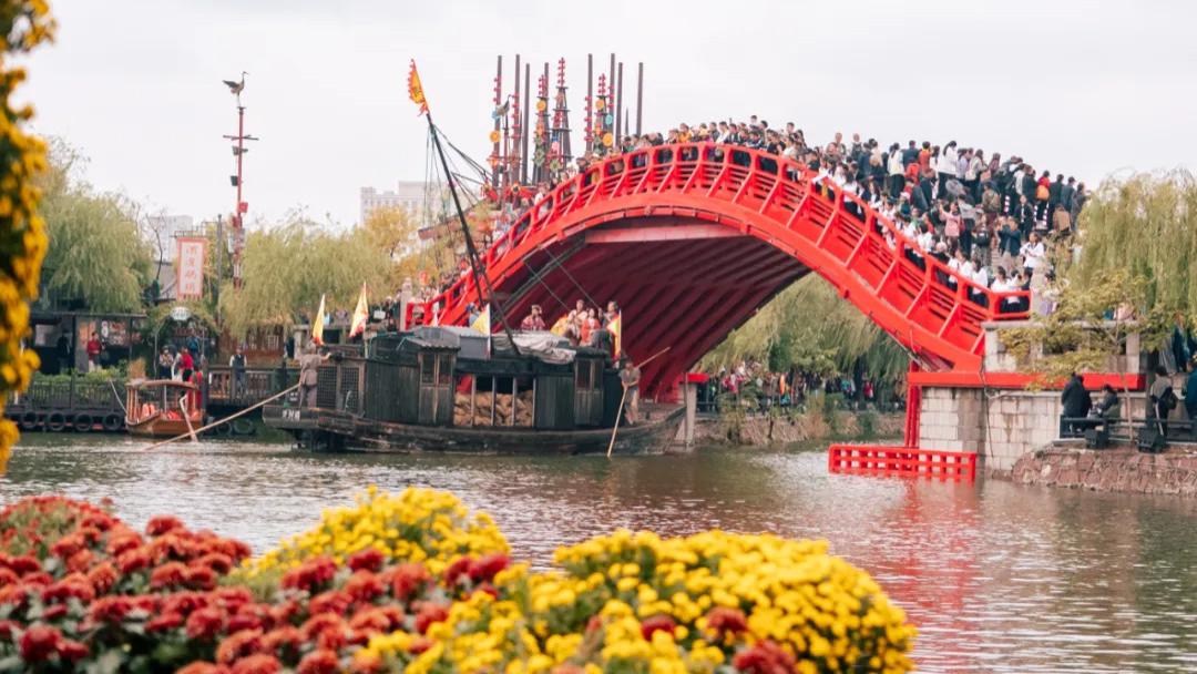 清明上河园：国际菊花展延期12天！菊花怒放期，赏菊正当时，错过就等明年！