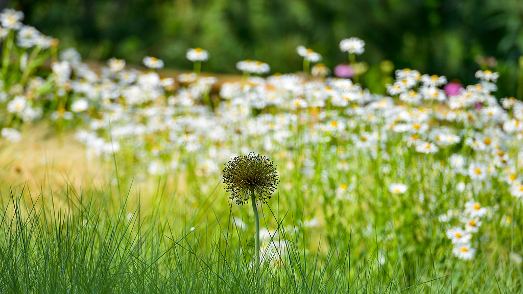 拒绝儿媳转账后，她说“妈你不领情”