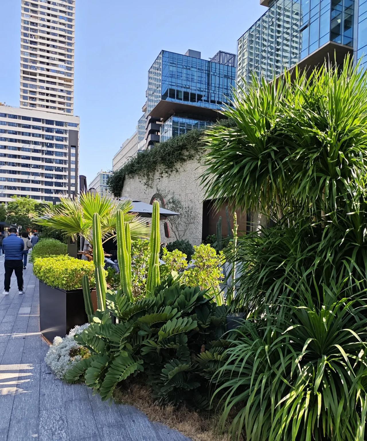 巴西可不是一个对华友好的国家，巴西各届政府只为巴西的利益服务，很务实的与其他国家