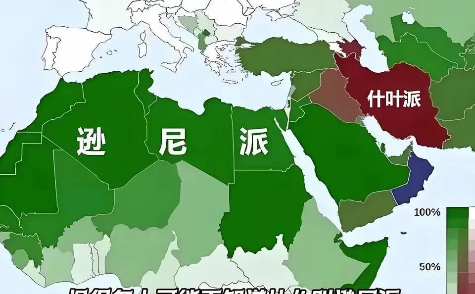 看地图，逊尼派地盘碾压什叶派，除了伊朗等几个少数国家，基本是逊尼派的天下。
但即