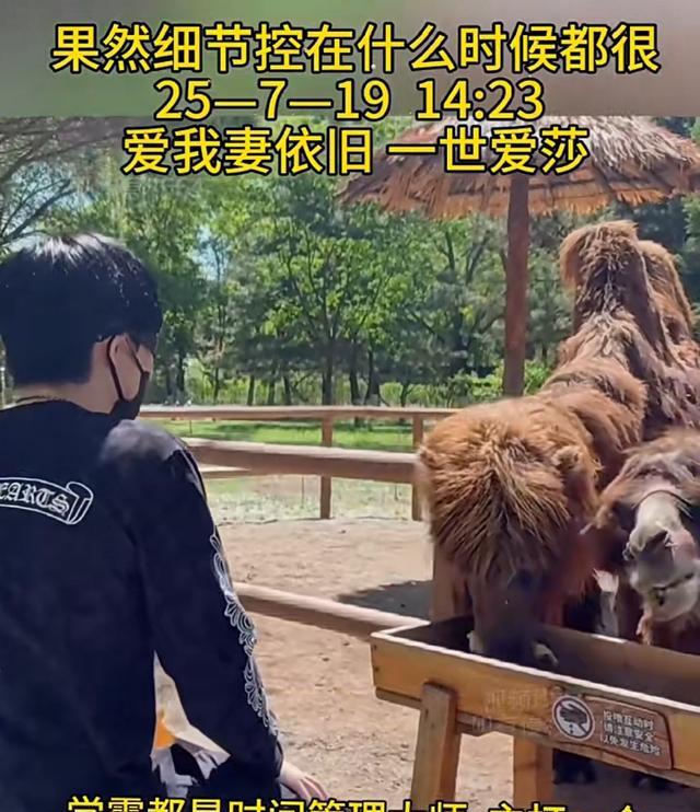 1423+5114=暗号表白！
网友秒破：狮子=他，羊=小太阳，三年前今天她重回