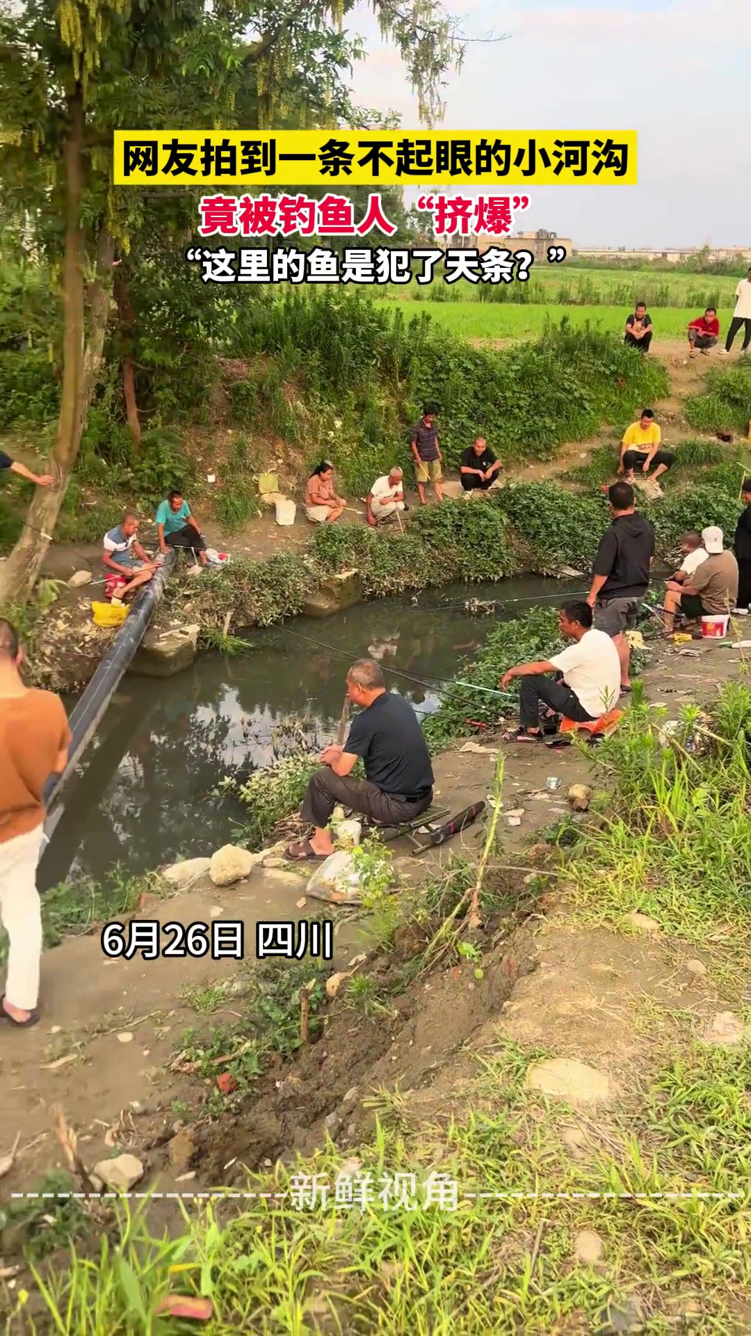 网友拍到一条不起眼的小河沟 竟被钓鱼人“挤爆”