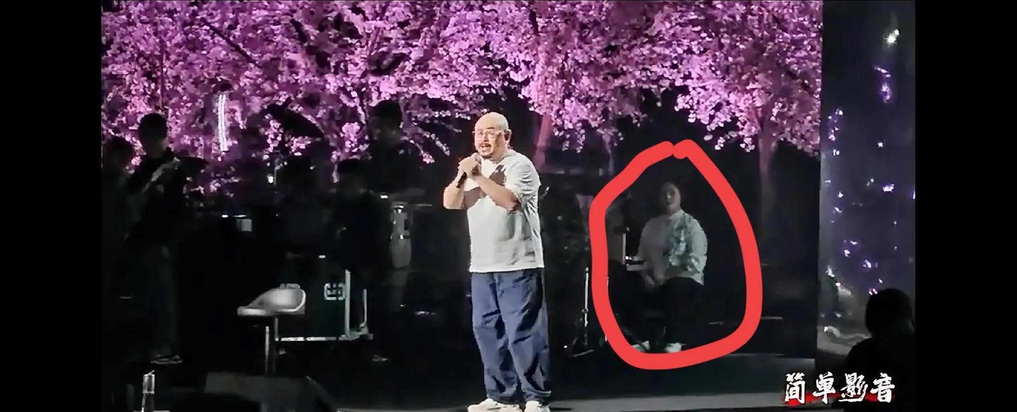 刀郎临沂演唱会，后面这个妹子是什么职务啊？🤔也没看到她演唱，伴奏也没有！可看着