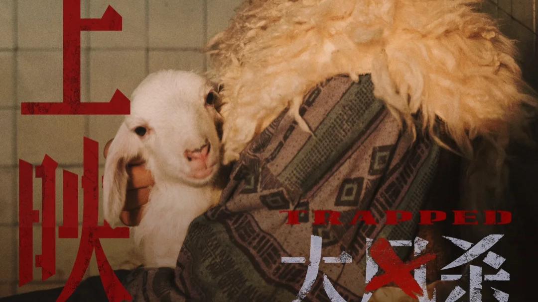 2025电影《大风杀》全集在线观看_电影高清完整版 - VS影院《大风杀》在线观看-大风杀完整版手机影院 - 星空影视