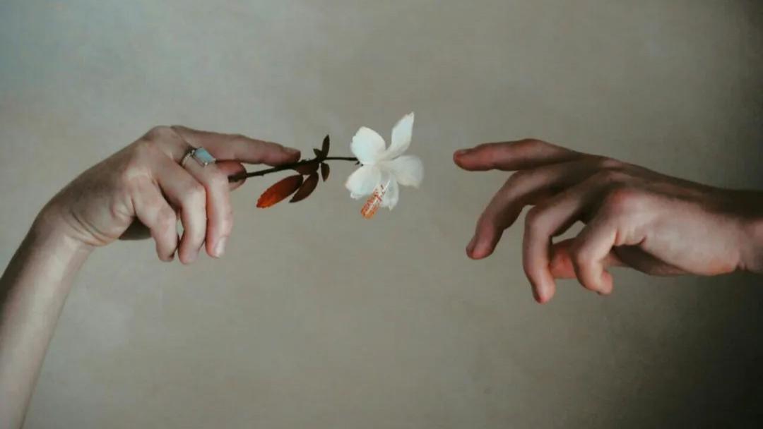 连离婚诉讼费都要AA，这样的婚姻有多少人经历过？