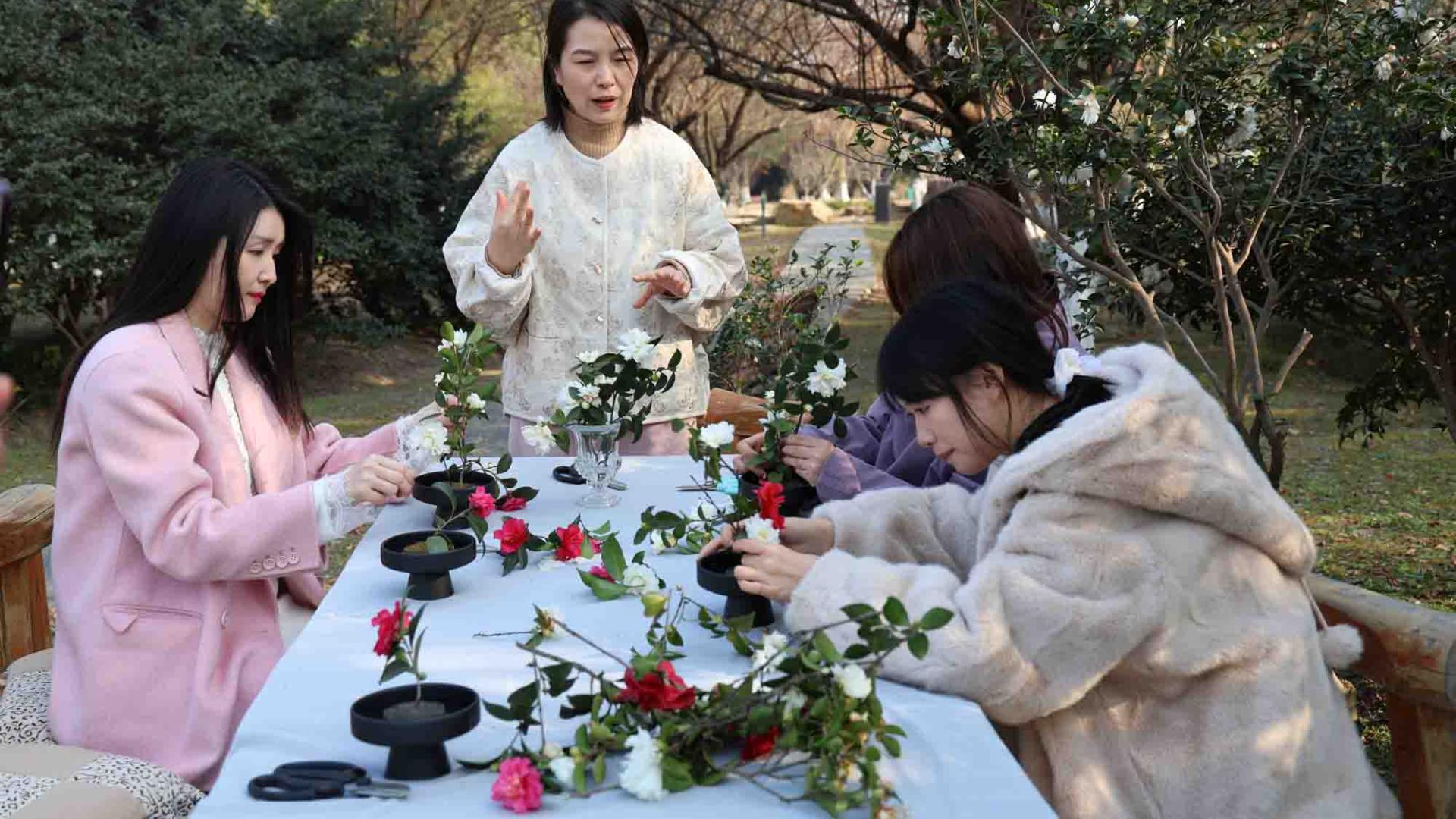 茶雪寻禅，花道安心