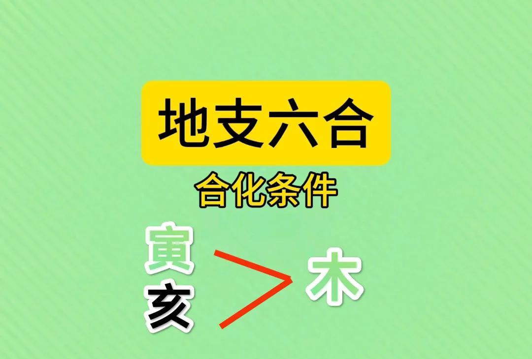 《地支六合~寅亥合木解析》
地支六合中的“寅亥合木”是十二地支相合关系的一种，主