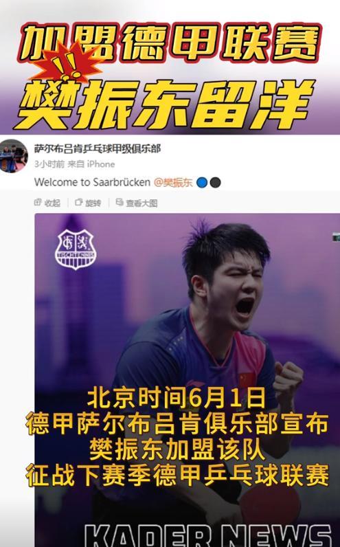 为什么樊振东要加入德国俱乐部？不是樊振东执意要加入德国俱乐部，而是他真的被逼到绝