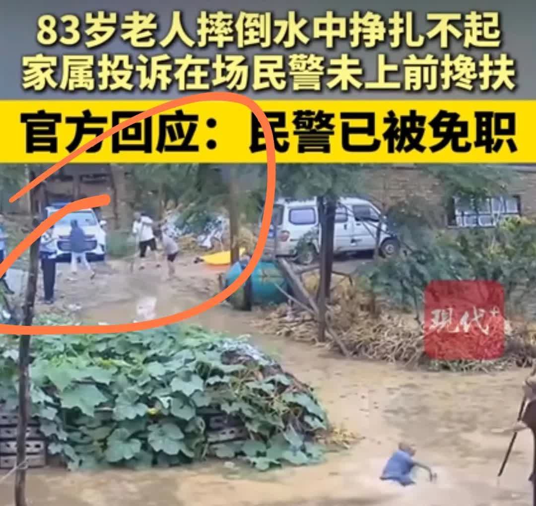 家人们谁懂啊？河南83岁老人掉水这事儿，谁看谁不气？还好报 应来的正好！
两个