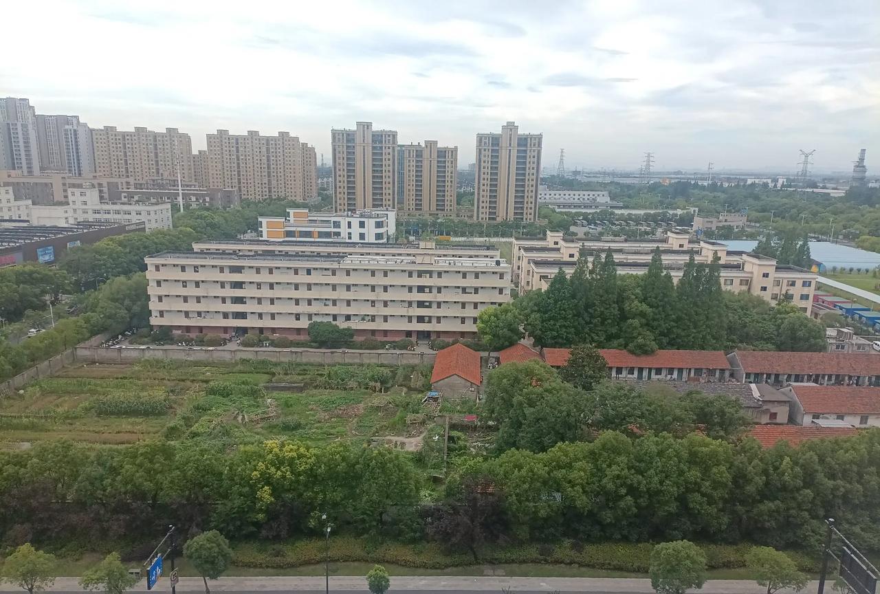 #分享城市新鲜事#现在没有首发阅读占比，发东西就可以任性多了，只是要苦了网友，垃