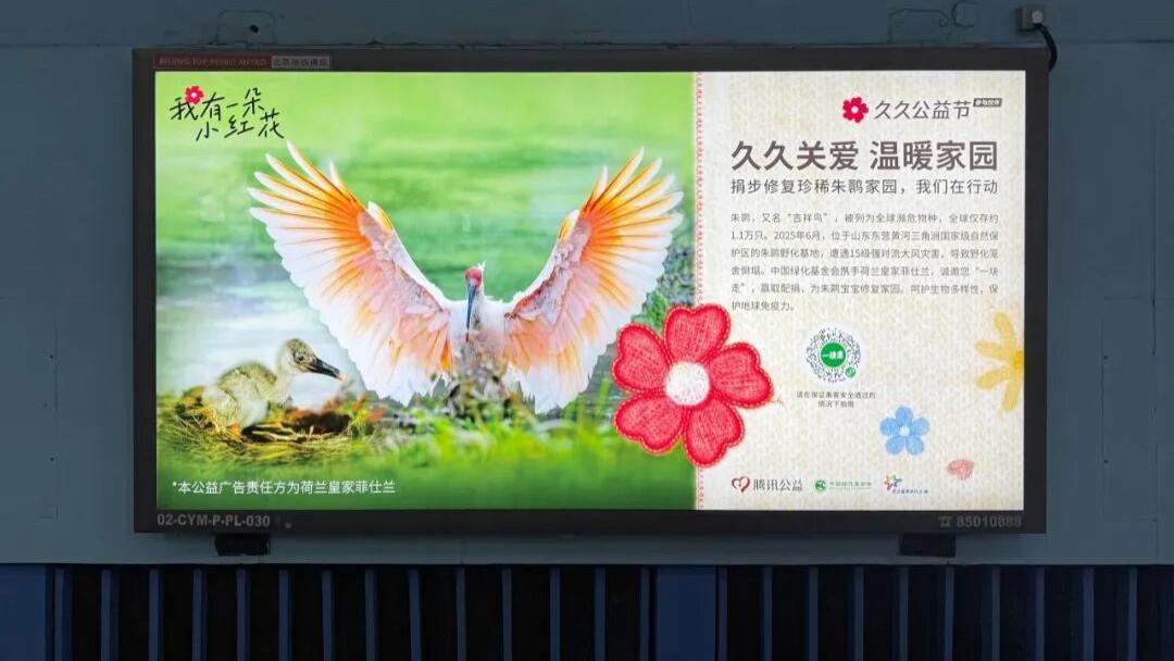 久久公益节丨“一块走”助力朱鹮家园修复 公益联动守护地球免疫力