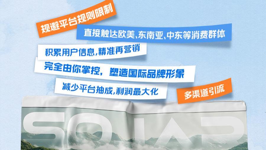 2025年专业英文网站制作服务综合评测与分析