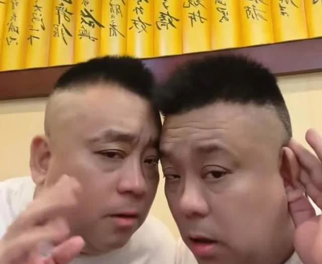 杨议心挺宽！

虎和豹都是他的爱徒，可是两年前，虎和豹突然反水，网上大骂杨议