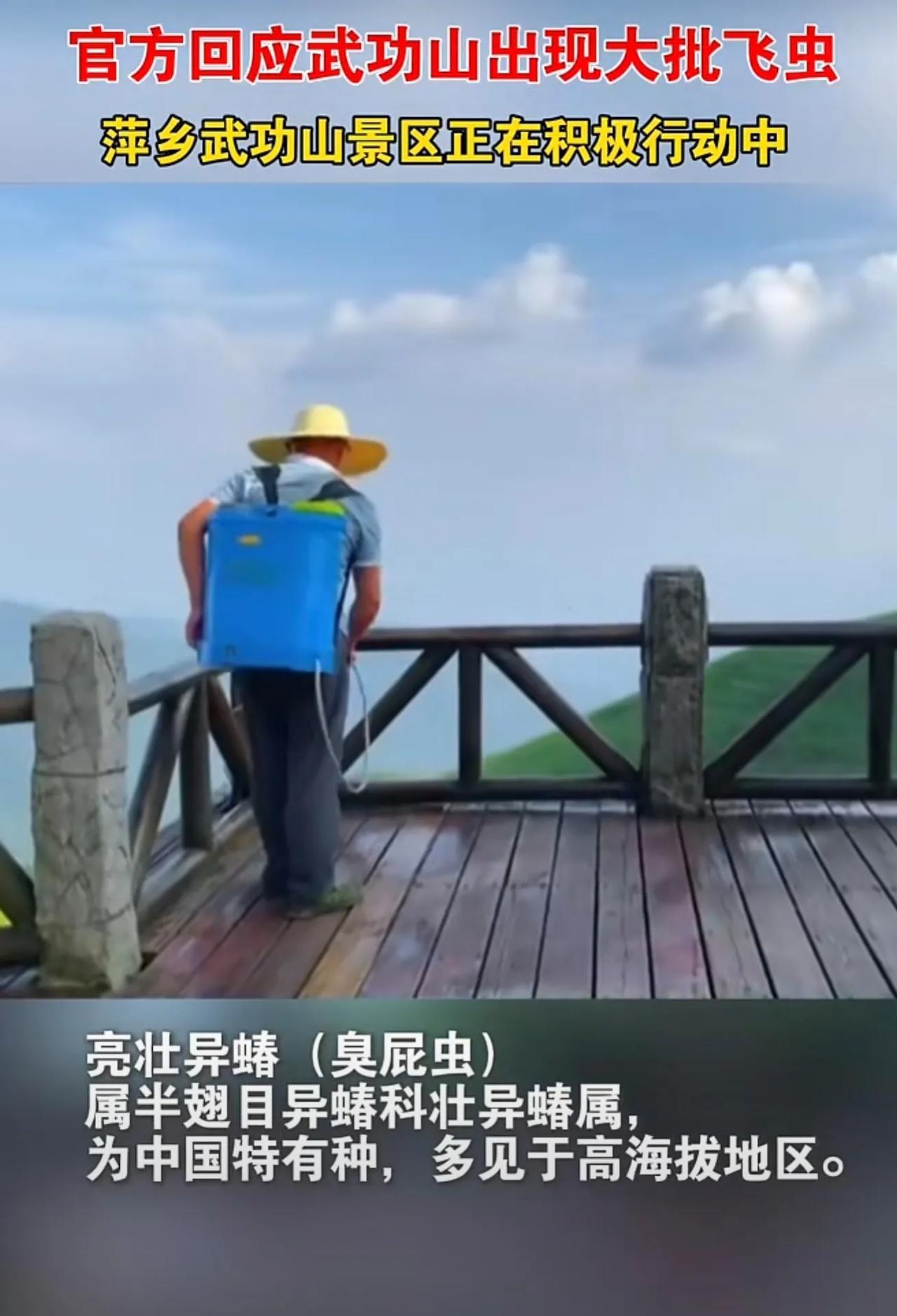 官方回应武功山出现大批飞虫，萍乡武功山景区正在积极行动中。#武功山 #甘源食品