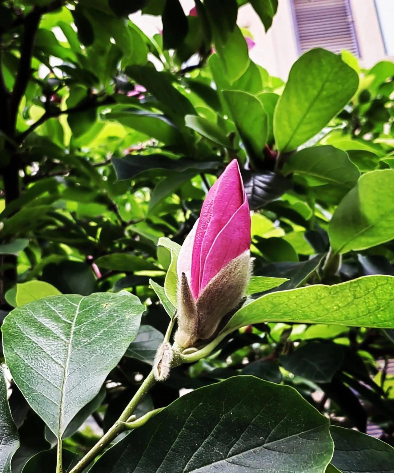 《季节的转场》（组诗）
《立秋帖》
蝉鸣开始节省电量
梧桐叶在午后
练习第一个