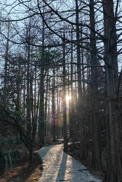 没有父母托举？
那就努力成为自己的靠山。
在人生的旅途中，
有的人可以依赖父母的