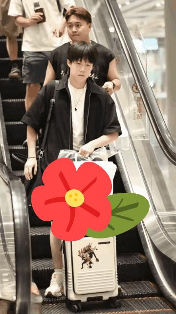 王楚钦孙颖莎
落地北京
大头和莎莎都升舱了
落地后大头负责
吸引火力
莎莎则安安